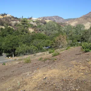 Clearing of Cypress Section after Jesusita Fire