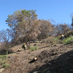 Clearing along Mission Canyon Rd after Jesusita Fire