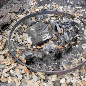 Santa Barbara Botanic Garden after the Jesusita Fire