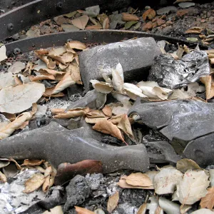 Santa Barbara Botanic Garden after the Jesusita Fire