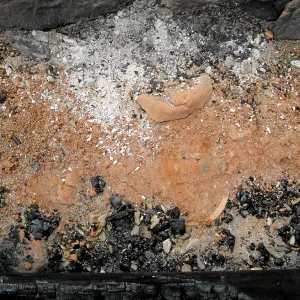 Santa Barbara Botanic Garden after the Jesusita Fire