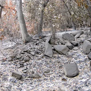 Dusting of ash in the Island Section. Quarry tailings
