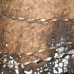 Old fencing wire and damage from the Jesusita Fire