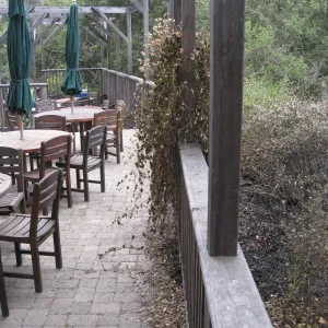 Garden Terrace after the Jesusita Fire