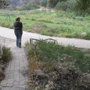 Tricia Wardlaw surveying damage after the Jesusita Fire
