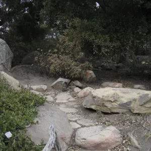 Brook display (on left) after the Jesusita Fire