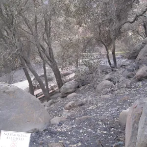 Cambell Trail and picnic area after the Jesusita Fire