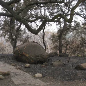 Meadow Oaks/canyon overlook after the Jesusita Fire