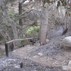 Top of the Indian Steps after the Jesusita Fire