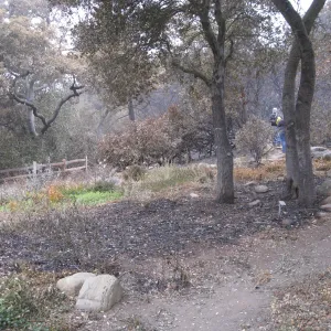 Meadow View after the Jesusita Fire