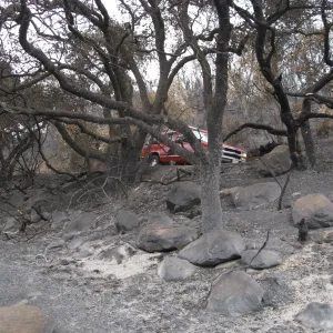Mission Canyon Rd from top of the Woodland Trail after the Jesusita Fire