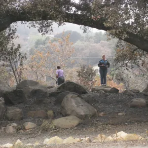 Meadow Oaks after the Jesusita Fire