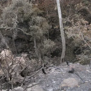 View to Mission Creek from Meadow Oaks after the Jesusita Fire