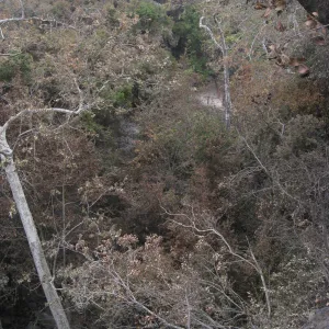 View from Meadow Oaks toward Mission Dam after the Jesusita Fire