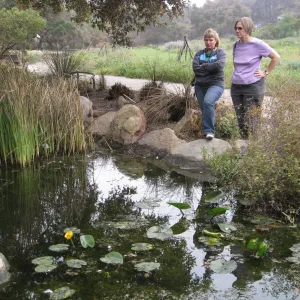 Tricia Wardlaw and Joan Ariel observe damage after the Jesusita Fire