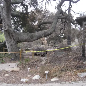 Information Kiosk after the Jesusita Fire