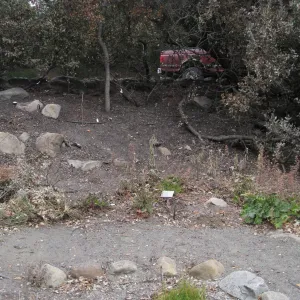 Mission Canyon Road from Conservation Display after the Jesusita Fire