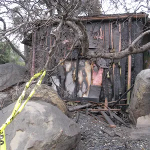 Santa Barbara Botanic Garden after the Jesusita Fire. Southwest side of information Kiosk