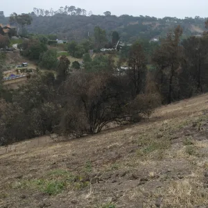 Slope east of Hort Unit after the Jesusita Fire