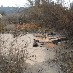 Site of Chaparral sign in Ceanothus Section after the Jesusita Fire