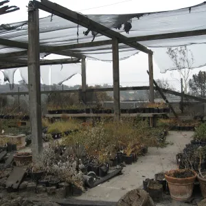 Santa Barbara Botanic Garden after the Jesusita Fire Hort Unit Shade Structure