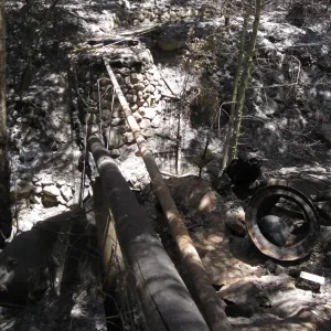 Santa Barbara Botanic Garden after the Jesusita Fire