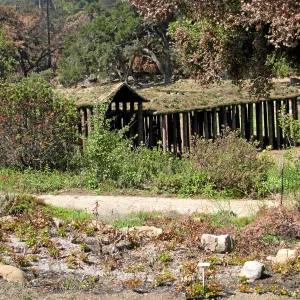 Herb Parker sculpture as seen from Meadow View, post Jesusita Fire