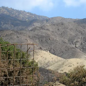 Cypress Section before tree clearing after Jesusita Fire