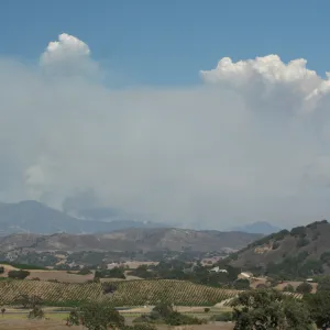 Zaca Fire