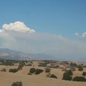 Zaca Fire