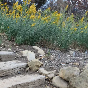 Art from the Ashes - railroad tie steps close-up