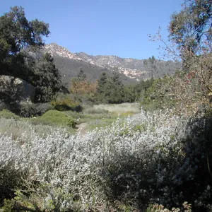 view of Meadow and mountains from lower Meadow