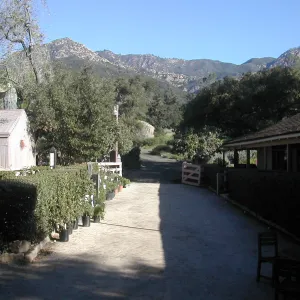 SBBG Courtyard, view to the mountains