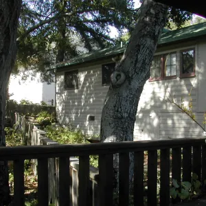 West side of the cottage