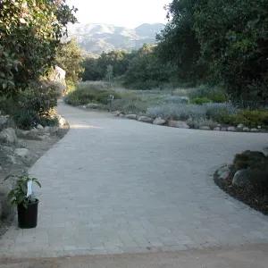 New paving at the Entrance