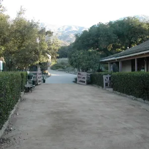 Courtyard of decomposed granite, Rhus hedge