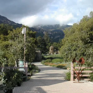 Courtyard looking north to Toad Hall