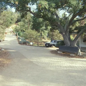 Garden Entrance Display, Entrance kiosk, wood bench under the entrance oak