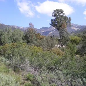 Upper entrance on Tunnel Road