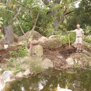 Construction of the Orchid Display