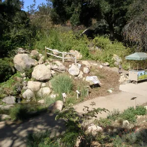 Discovery cart in the Discovery Garden