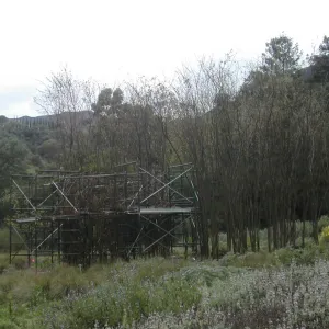 Construction of Toad Hall by Patrick Dougherty