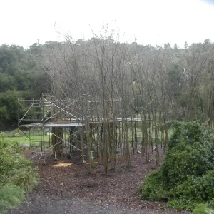 Construction of Toad Hall by Patrick Dougherty