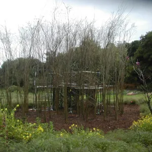 Construction of Toad Hall by Patrick Dougherty