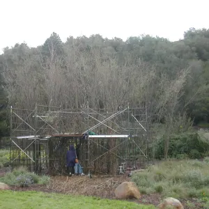 Construction of Toad Hall by Patrick Dougherty
