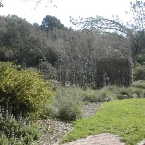 Construction of Toad Hall by Patrick Dougherty