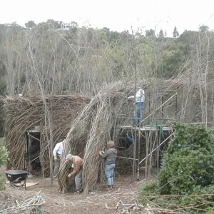 Construction of Toad Hall by Patrick Dougherty