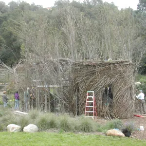 Construction of Toad Hall by Patrick Dougherty