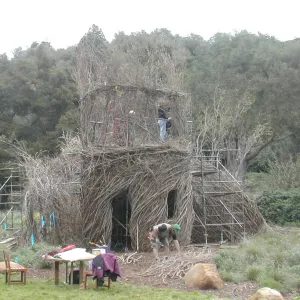Construction of Toad Hall by Patrick Dougherty