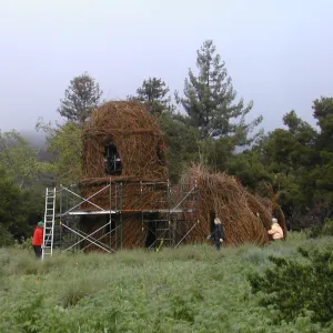 Construction of Toad Hall by Patrick Dougherty